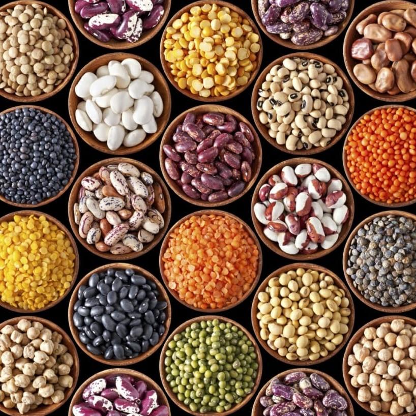 Oil Seeds & Pulses