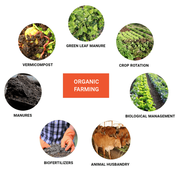 Organic & Bio Agri Inputs